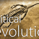 Image for article titled New Bills Revive Intelligent Design Debate